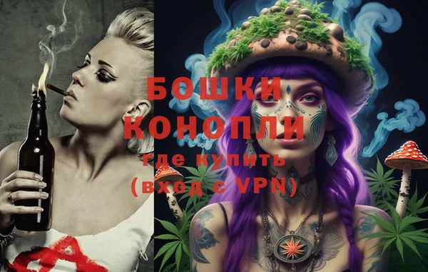 ГАЛЛЮЦИНОГЕННЫЕ ГРИБЫ Богданович