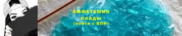 ГАЛЛЮЦИНОГЕННЫЕ ГРИБЫ Богданович
