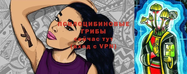 ГАЛЛЮЦИНОГЕННЫЕ ГРИБЫ Богданович