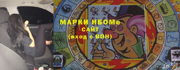 ГАЛЛЮЦИНОГЕННЫЕ ГРИБЫ Богданович