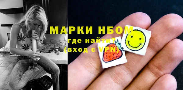 ГАЛЛЮЦИНОГЕННЫЕ ГРИБЫ Богданович