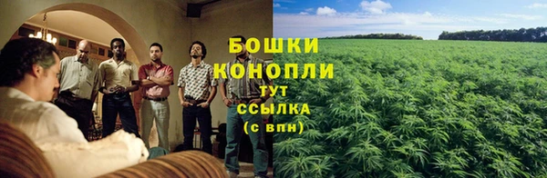 мяу мяу мука Богородицк