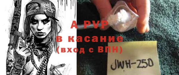 ГАЛЛЮЦИНОГЕННЫЕ ГРИБЫ Богданович