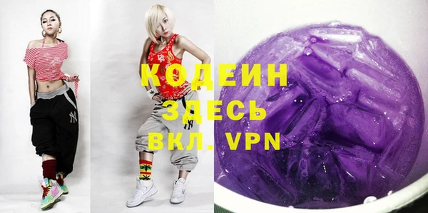 ГАЛЛЮЦИНОГЕННЫЕ ГРИБЫ Богданович