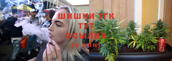 ГАЛЛЮЦИНОГЕННЫЕ ГРИБЫ Богданович