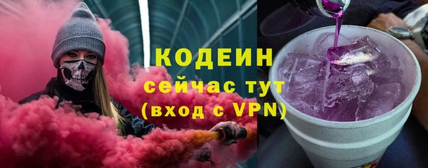 ГАЛЛЮЦИНОГЕННЫЕ ГРИБЫ Богданович