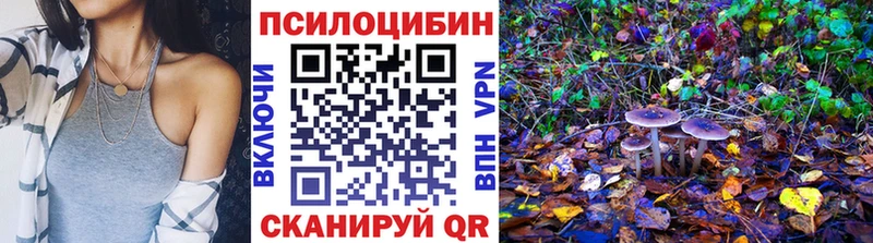 дарк нет Telegram Семёнов Галлюциногенные грибы прущие грибы